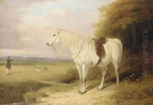 Out shooting by William Barraud