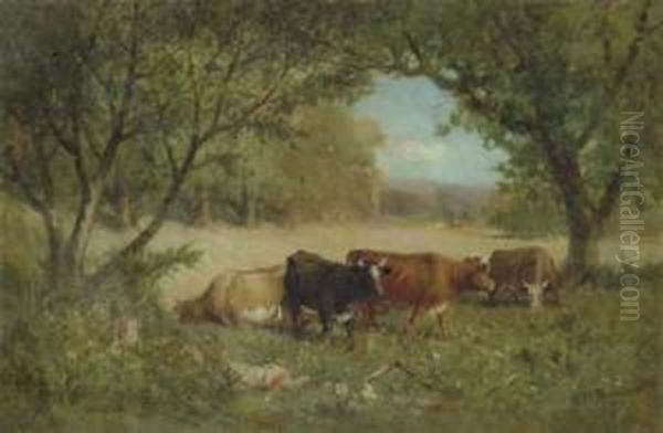 Cows In A Pasture - view 1