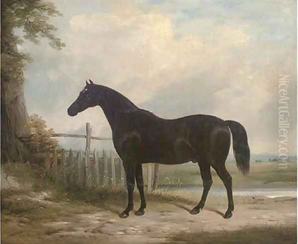 Plato, the property of the Marquess of Hastings - view 1