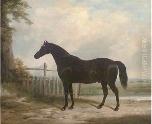 Plato, the property of the Marquess of Hastings by William Barraud