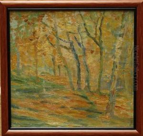 Forest Scene - view 1