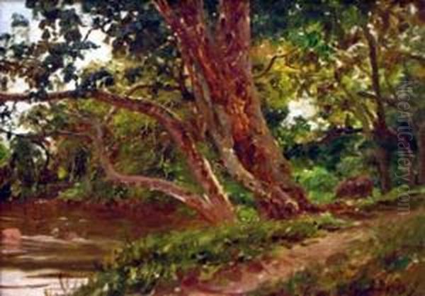Paisagem - view 1