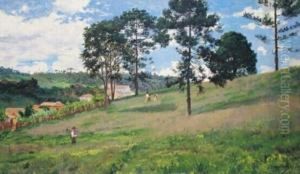 Paisagem Serrana - Teresopolis by Joao Baptista Da Costa