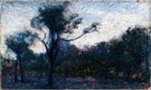 Alberi Alberi