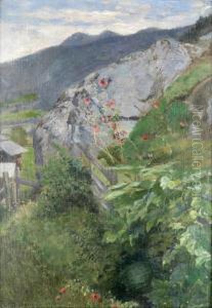 Felsige Landschaft Mit Alpenblumen - view 1