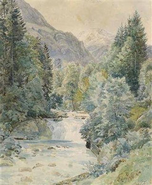Alandscape With A Forest Stream - view 1