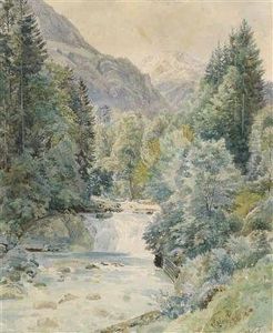 Alandscape With A Forest Stream