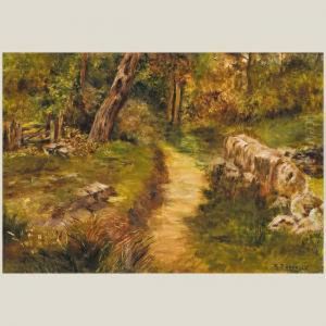 Bosque by Mariano Barbasan Lagueruela