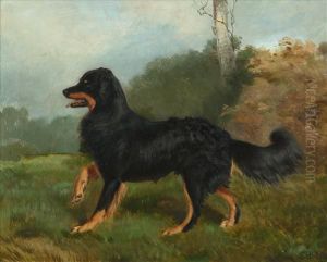 Sharp,
Brother Of Fern, A Collie Dog Sharp,
Brother Of Fern, A Collie Dog