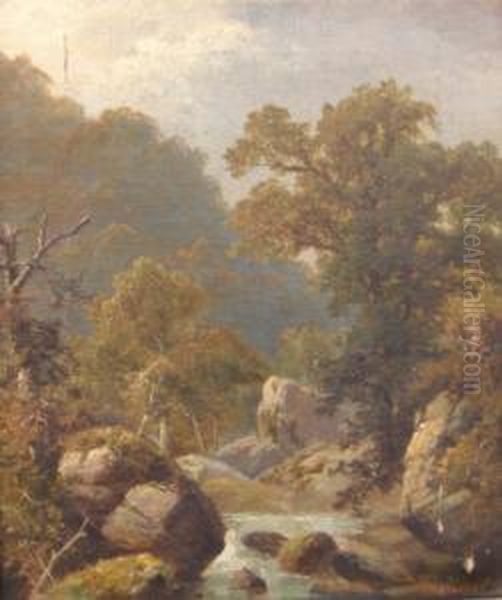 Stream Within A Rocky Wooded Landscape - view 1