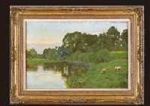 Sheep In The Shore by Ralph William Bardill