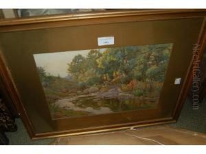 A Welsh Stream by Ralph William Bardill