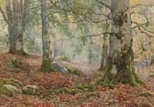 Dappled Sunlight by Ralph William Bardill