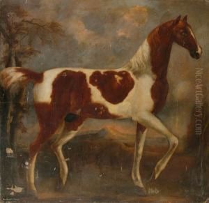 A Portrait Of Ned Baldry's Shell Horse A Portrait Of Ned Baldry's Shell Horse