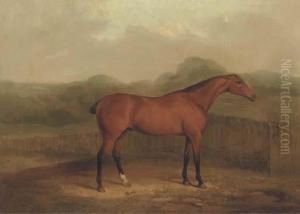 A Chestnut Racehorse In A Landscape by James Barenger