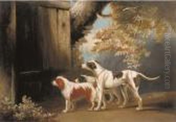 Three Sporting Dogs Waiting For Master - view 1