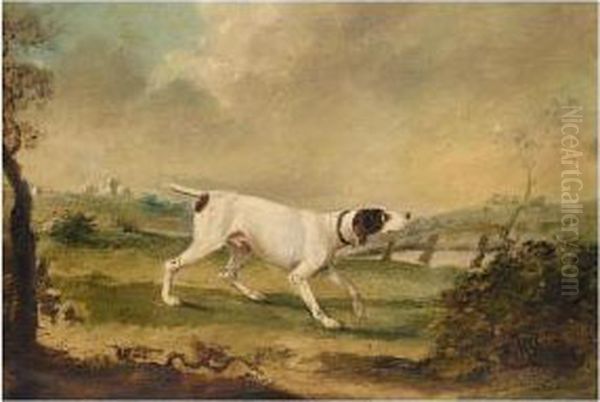 A Spaniel; A Pointer - view 1