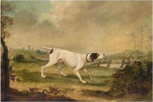 A Spaniel; A Pointer by James Barenger