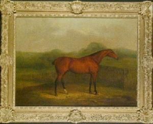 Race Horse Standing Before A Fence
