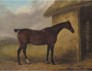 A Hunter By A Stable