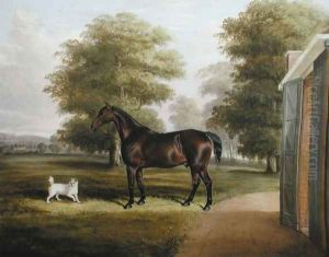 A Bay Horse with a Terrier 1845 by Thomas W. Bretland