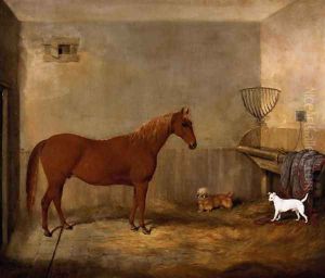 A Hunter and two dogs in a stable by Thomas W. Bretland