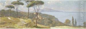 L'isola Di Capri Dalla Costa Campana