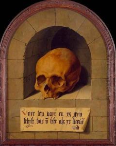 Skull in a Niche by Barthel Bruyn