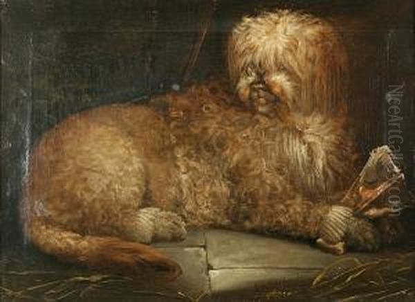 Curly White Dog With His Dinner - view 1