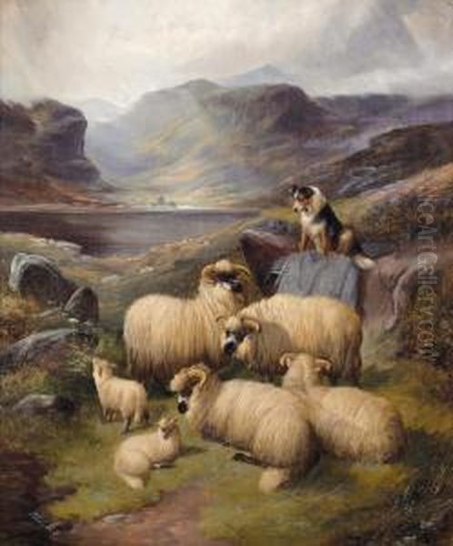 Guarding The Flock - view 1