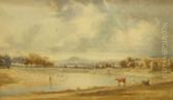 River Ribble - view 1