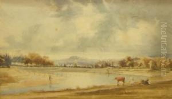 Preston (see Labels Verso) - view 1