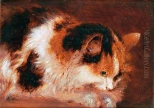 A Favourite Cat by Benjamin Barker Of Bath