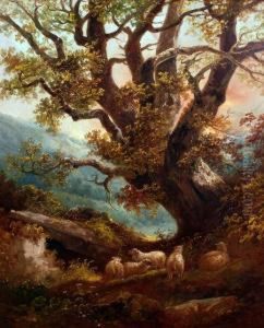 Sheep Resting Beneath An Oak Tree by John Joseph Barker Of Bath