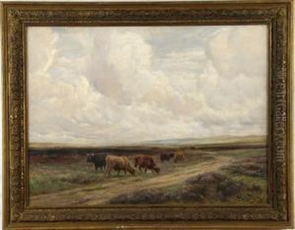 Highland Cattle In A Meadow - view 1