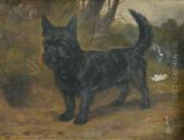 A Scottish Terrier Beside A Rabbit Hole In A Woodedlandscape - view 1