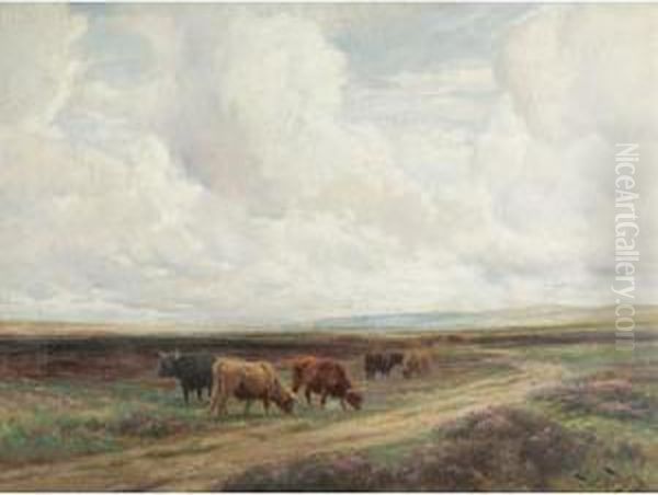 Highland Cattle In A Meadow - view 1