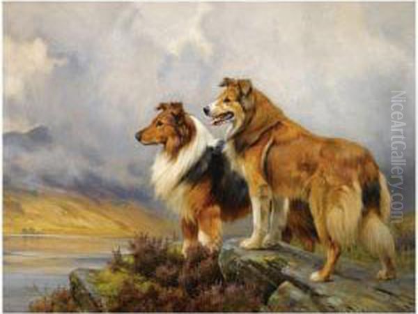 Two Collies Above A Lake - view 1