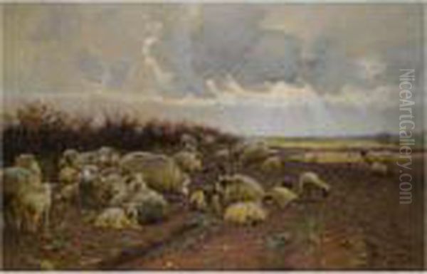 Counting The Flock - view 1