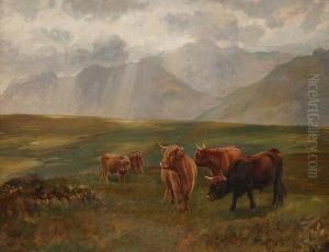 Highland Cattle In A Landscape