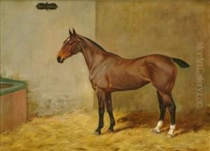 Marchionessbob by Wright Barker