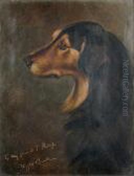 Studyof A Dachshund - view 1