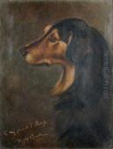 Studyof A Dachshund by Wright Barker