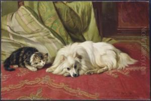Won't You Play? by Wright Barker