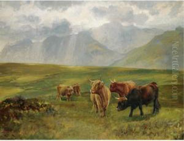 Highland Cattle - view 1