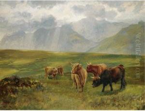 Highland Cattle Highland Cattle