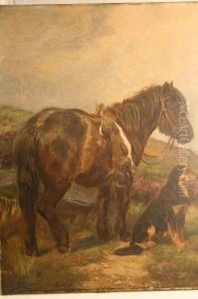 'horse Standing On Moorland W - view 1
