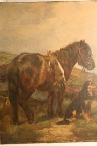 'horse Standing On Moorland W by Wright Barker