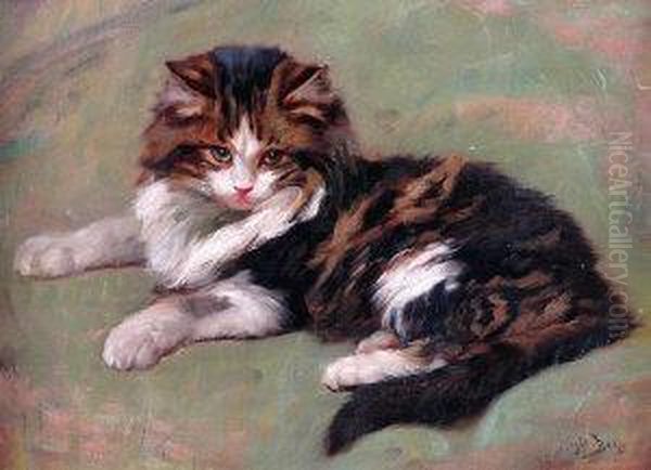 Study Of A Cat - view 1