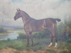A Bay Horse In A Landscape